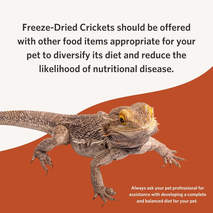 Fluker's Freeze Dried Crickets, Ideal for Reptiles, Birds, and Fish, Packed with Protein and Essential Nutrients, 1.2 oz