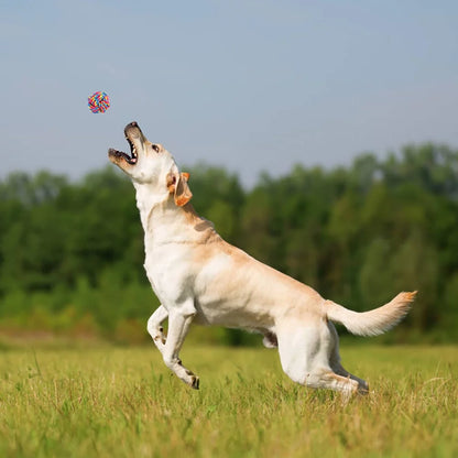 Plutus Pet Dog Chew Toys for Aggressive Chewers, 8 pack Interactive Washable Tough Teething Dog Rope Toys, for Puppies Small Medium Dogs