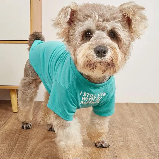 Cute Dog Clothes,Dog T Shirt for Medium Dogs.Dog Clothes for Small Dogs Girl Boy,Puppy.Breathable Soft Dog Costume Pet Dogs Cats,Pet Pullover Jumper,Cat Clothes (Xl-(16~20Lb), Chest~20", Aqua)