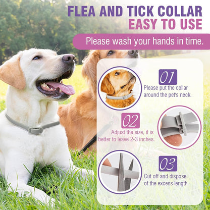 Flea Collar for Dogs 4 Pack Flea and Tick Collar for Dogs 8 Months Long-Term Protection Natural Tick Collar for Dogs Waterproof Adjustable Size Dog Flea Collar Suitable for Small Medium and Large Dog