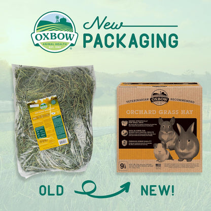 Oxbow Animal Health Orchard Grass Hay - All Natural Grass Hay for Chinchillas, Rabbits, Guinea Pigs, Hamsters, Gerbils & Other Small Pets - Fiber Rich- Grown in the USA- 9 lb.