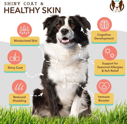 Natural Dog Company Skin & Coat Chews, Salmon & Peas Flavor, Dog Vitamins and Supplements for Healthy Skin & Coat, Itch Relief for Dogs with Allergies, with Biotin, Vitamin E, Omega 3, Antioxidant