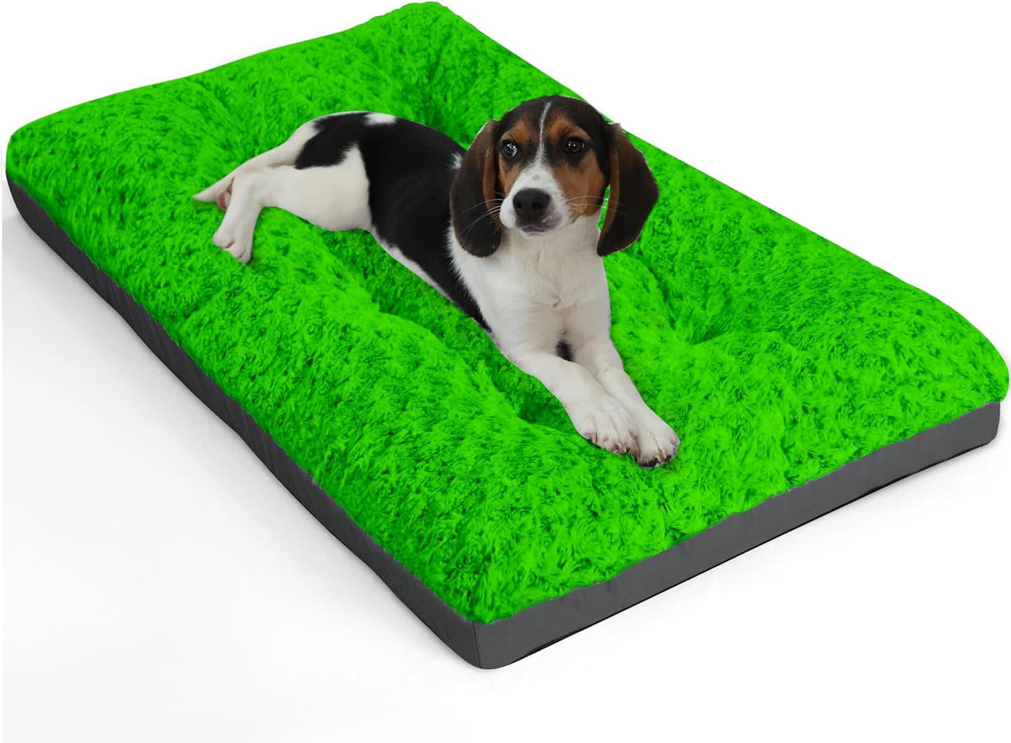 Deluxe Washable Dog Bed for Small Dogs Dog Crate Mat 24 Inch Comfy Fluffy Kennel Pad Anti-Slip for Dogs up to 25 Lbs, 24" X 17", Green