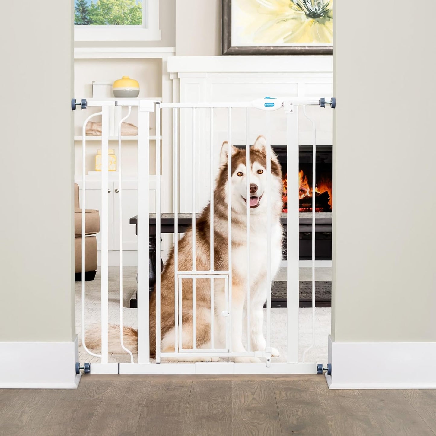 Carlson Extra Tall Walk through Pet Gate with Small Pet Door, Includes 4-Inch Extension Kit, 4 Pack Pressure Mount Kit and 4 Pack Wall Mount Kit, 36 X 36.5, White