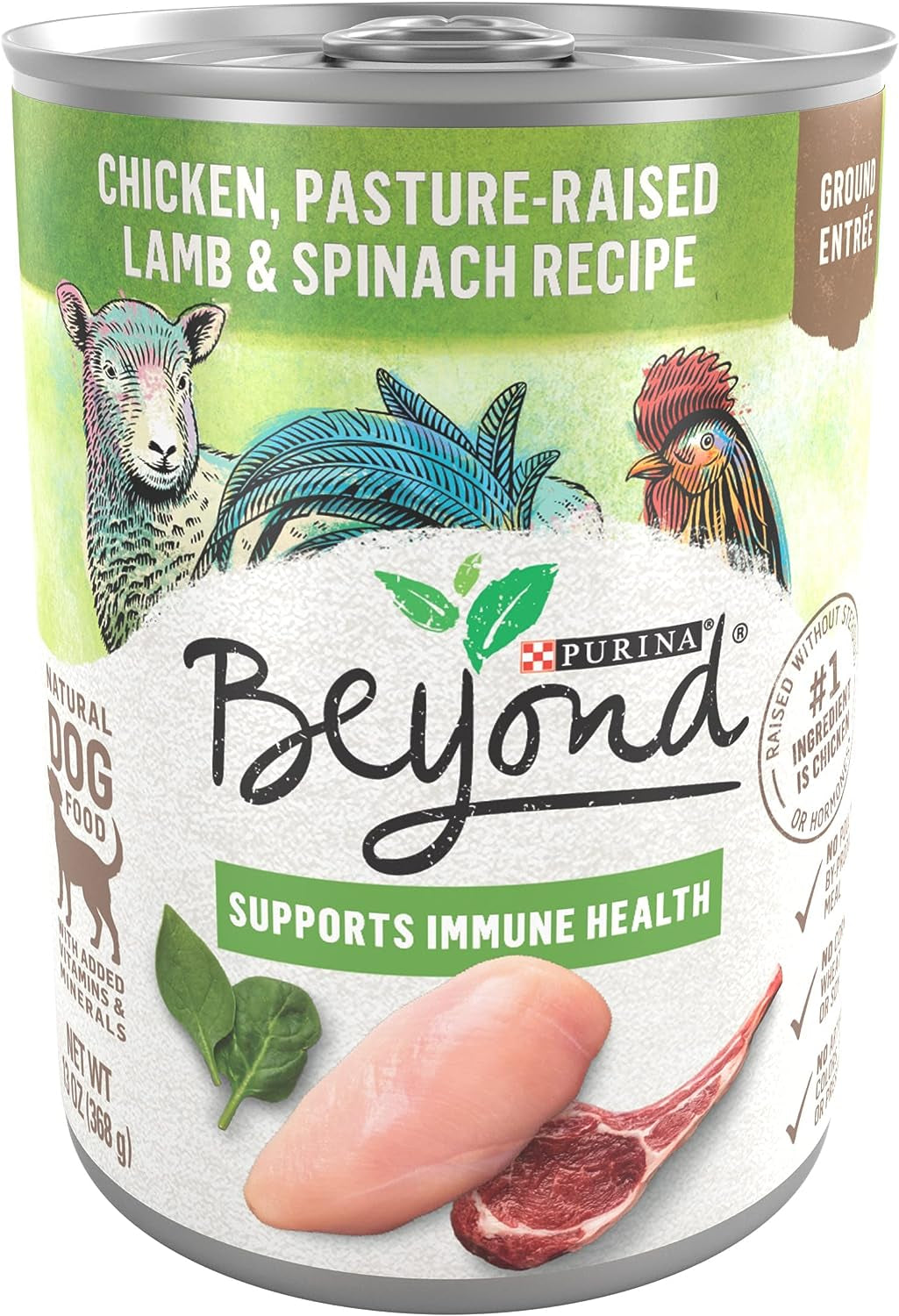 Purina beyond Grain Free, Natural Pate Wet Dog Food, Grain Free Chicken, Lamb & Spinach Recipe - (12) 13 Oz. Cans