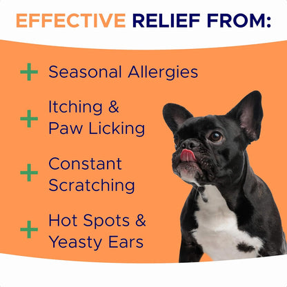 Dog Allergy Relief Chews — Anti-Itch Skin & Coat Supplement: No Fillers, Just Flavor - Itchy Skin Relief Treatment w/Omega 3 Fish Oil - Itching&Paw Licking - Dry Skin&Hot Spots - Made in USA - 180Ct