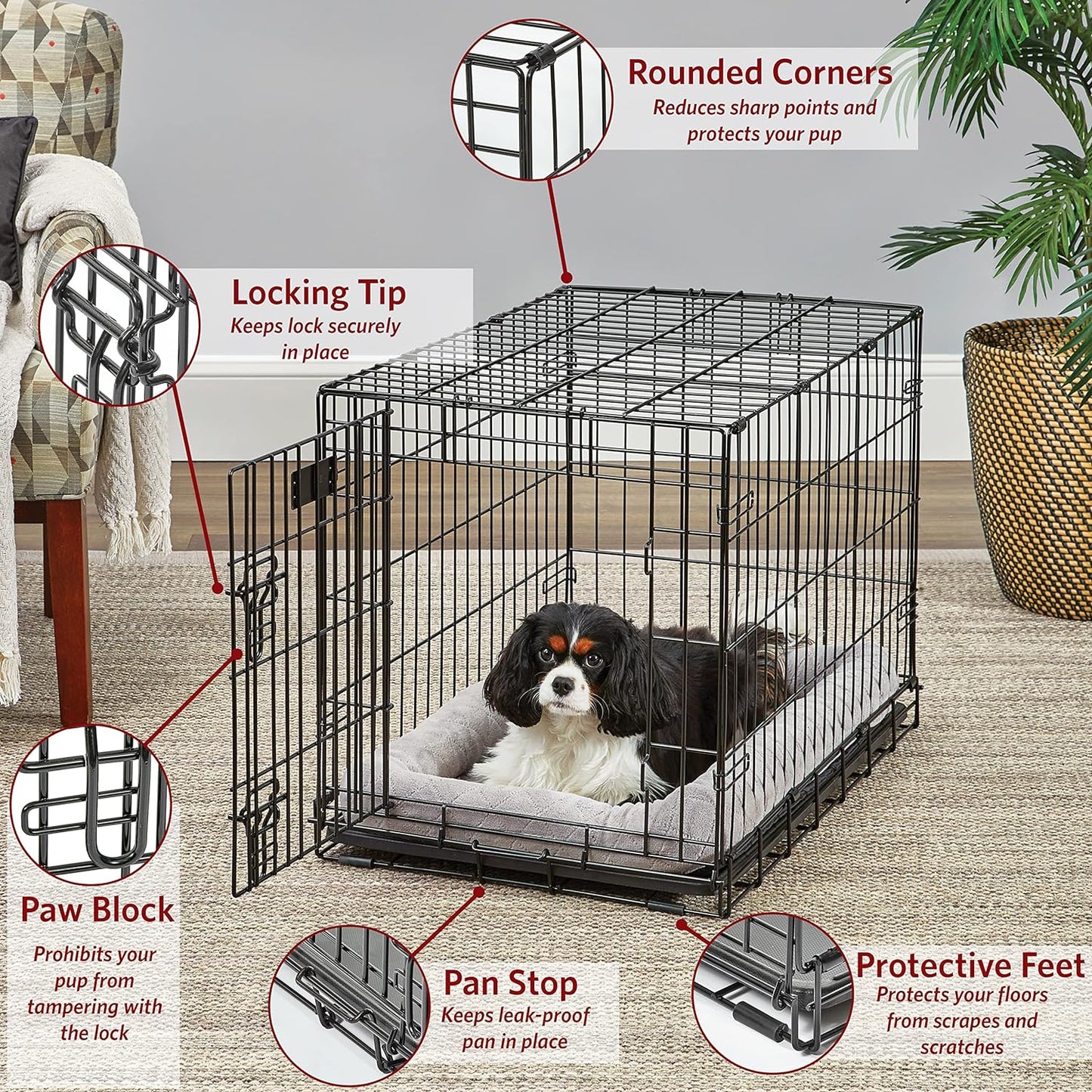 Medium Dog Crate | Midwest Life Stages 30" Double Door Folding Metal Dog Breed Crate | Divider Panel, Floor Protecting Feet & Dog Pan | 30.6L X 19.3W X 21.4H Inches