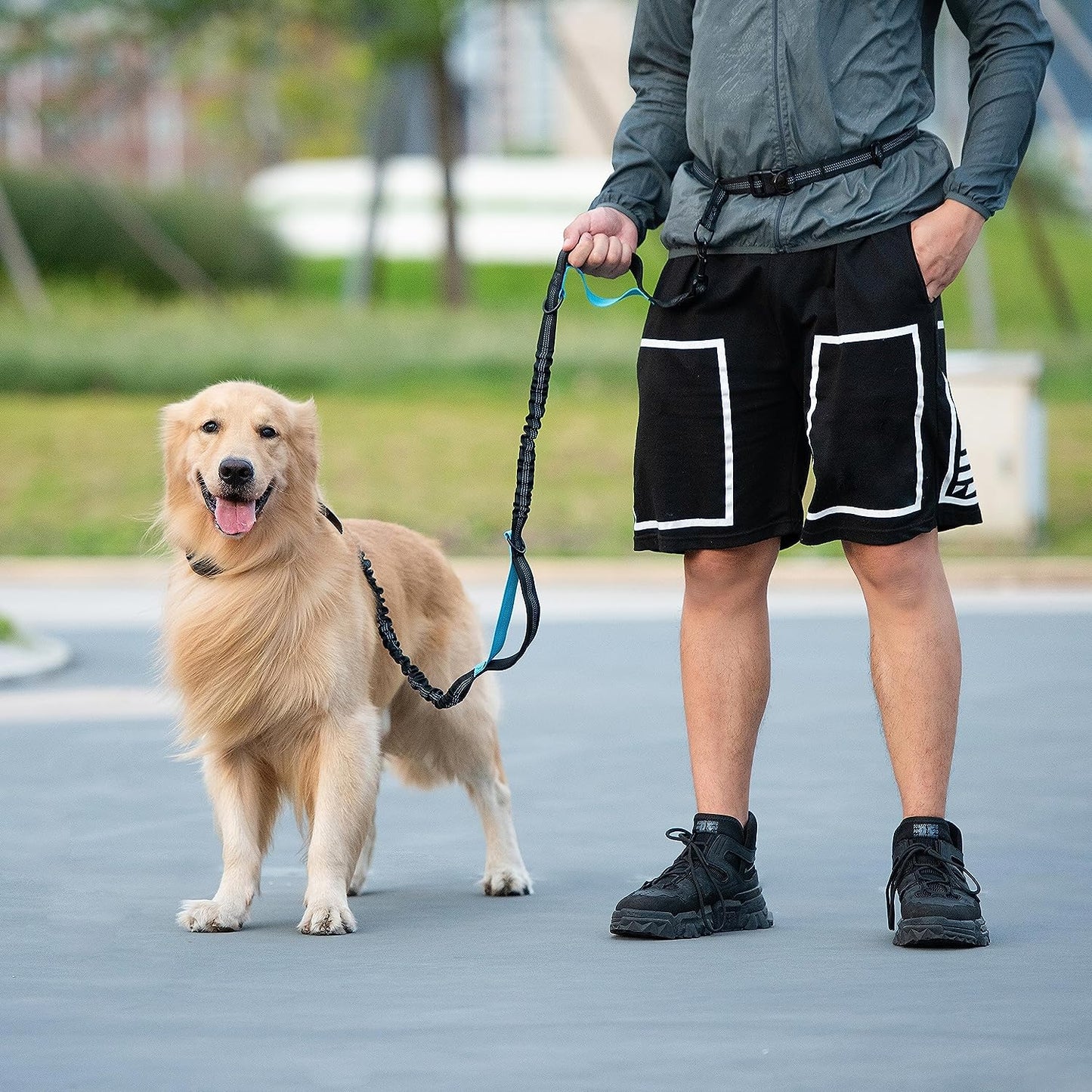 Iyoshop Hands Free Dog Leash with Zipper Pouch, Dual Padded Handles and Durable Bungee for Walking, Jogging and Running Your Dog (Large, 25-120 Lbs, Khaki)