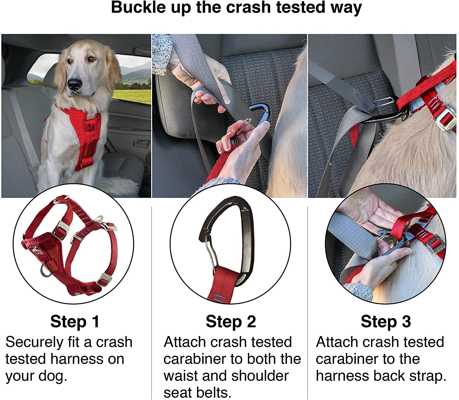 Kurgo Tru-Fit Enhanced Strength Dog Harness - Crash Tested Car Safety Harness for Dogs, No Pull Dog Harness, Includes Pet Safety Seat Belt, Steel Nesting Buckles (Deep Violet, Small)
