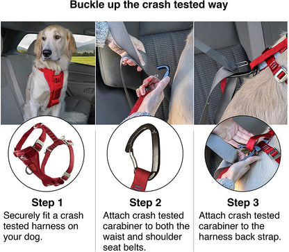 Kurgo Tru-Fit Enhanced Strength Dog Harness - Crash Tested Car Safety Harness for Dogs, No Pull Dog Harness, Includes Pet Safety Seat Belt, Steel Nesting Buckles (Deep Violet, Small)