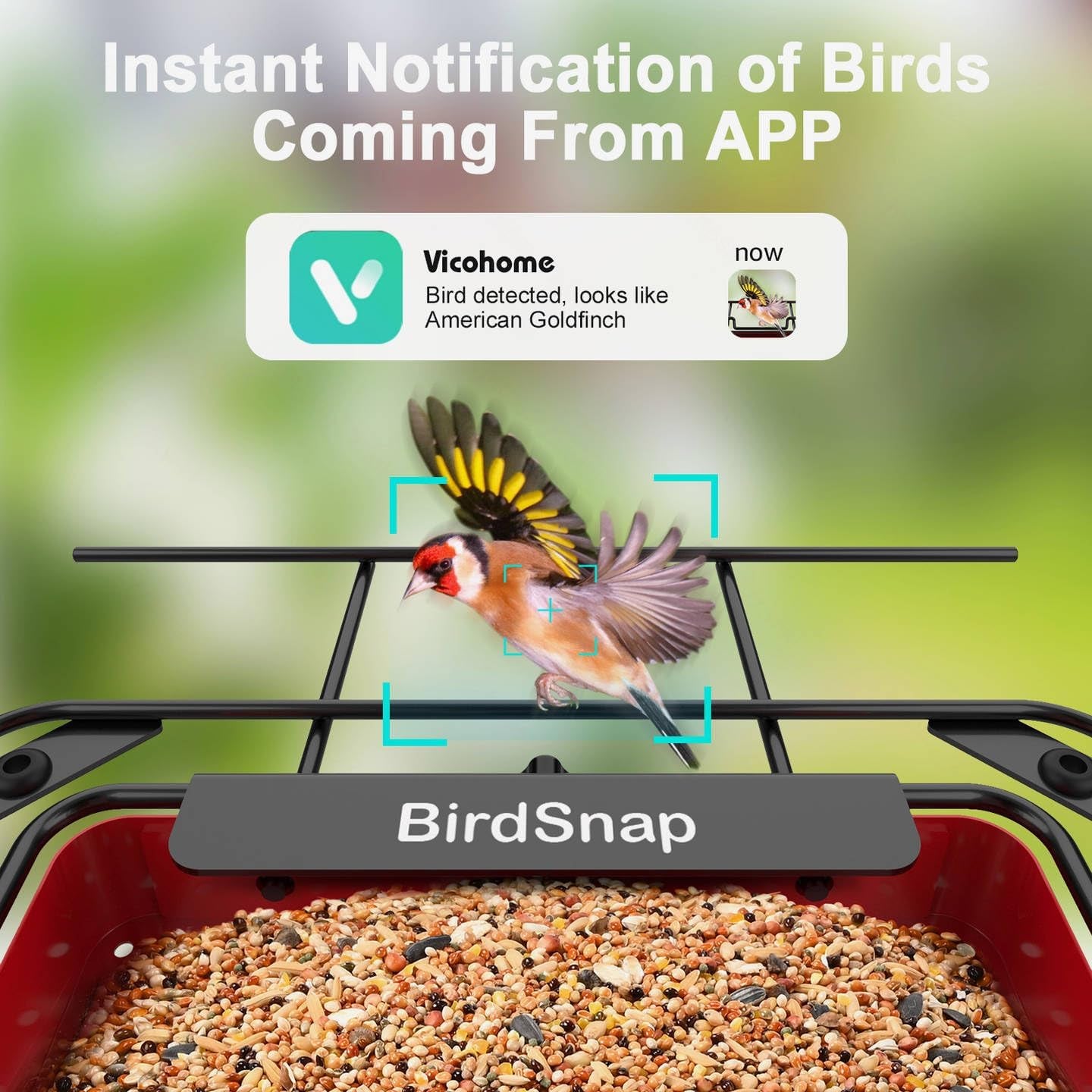 birdsnap® APS - Metal Bird Feeder with Camera Solar Panel 32GB Card, AI Identify 10000+ Birds Camera Feeder, 2K HD Live View Auto Record Bird Video, Ideal Xmas Gift for Bird Lovers