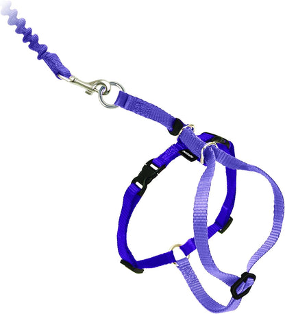 Petsafe Come with Me Kitty Harness and Bungee Cat Leash, Medium, Lilac