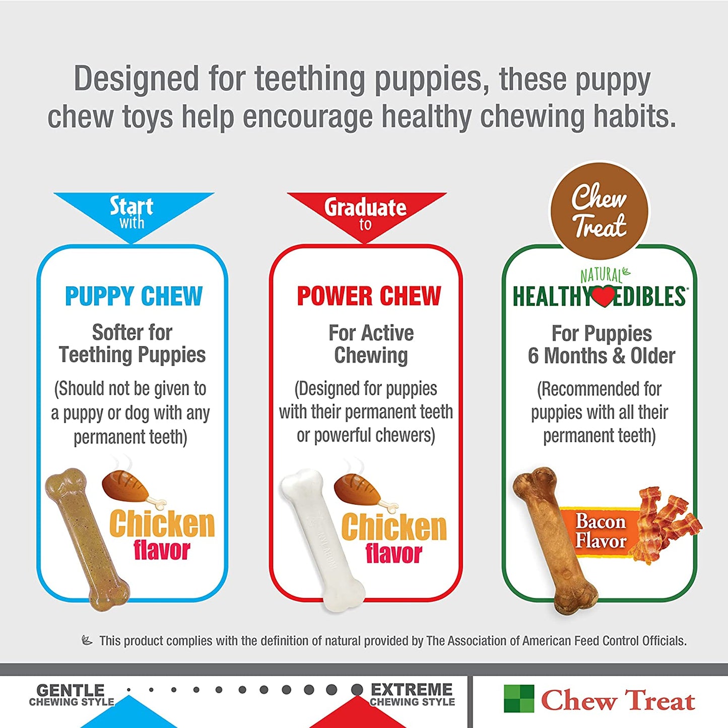 Nylabone Classic Puppy Chew Toy Twin Pack - Puppy Chew Toys for Teething - Puppy Supplies - Chicken & Peanut Butter Flavor, X-Small/Petite, 2 Count (Pack of 1)