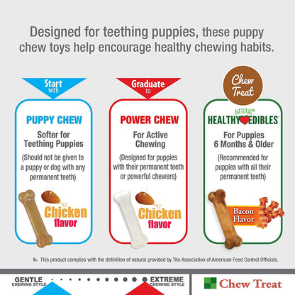 Nylabone Classic Puppy Chew Toy Twin Pack - Puppy Chew Toys for Teething - Puppy Supplies - Chicken & Peanut Butter Flavor, X-Small/Petite, 2 Count (Pack of 1)