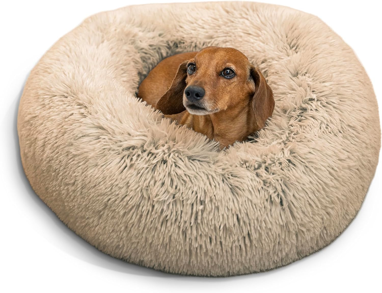 Best Friends by Sheri the Original Calming Donut Cat and Dog Bed in Shag Fur Baby Blue, Medium 30"