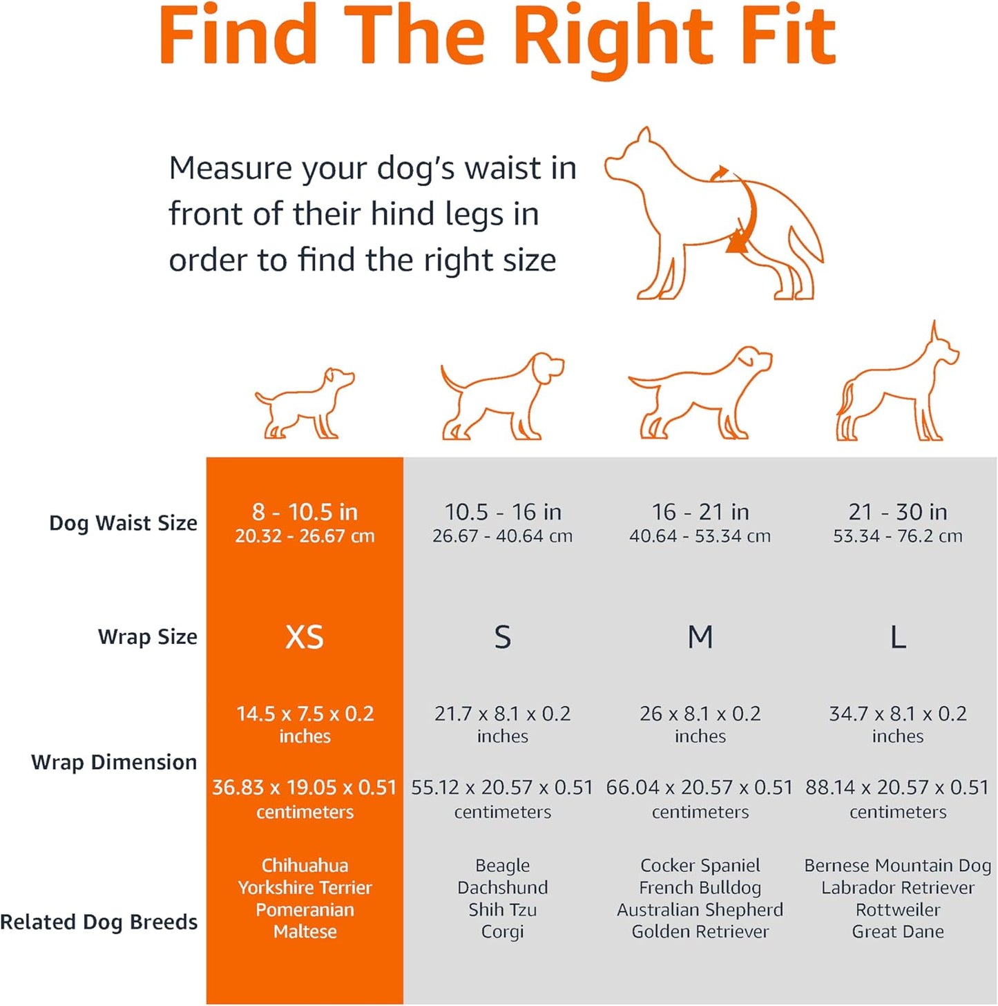 Amazon Basics Male Dog Wrap, Disposable Diapers, Large - Pack of 30, White