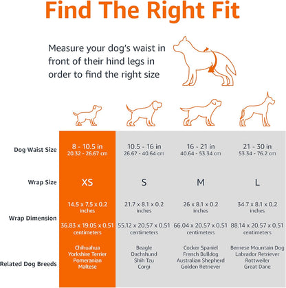 Amazon Basics Male Dog Wrap, Disposable Diapers, Large - Pack of 30, White