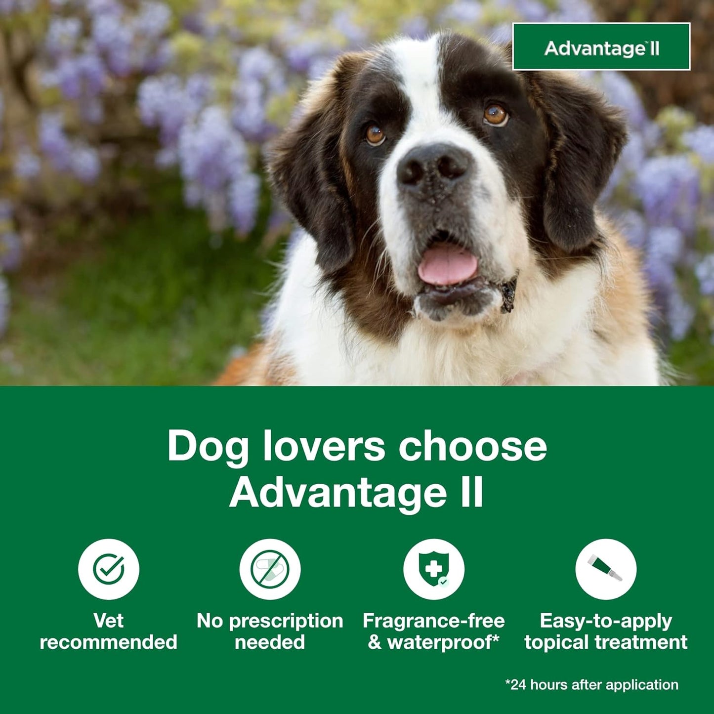 Advantage II XL Dog Vet-Recommended Flea Treatment & Prevention | Dogs over 55 Lbs. | 6-Month Supply