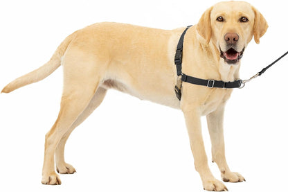 Petsafe Easy Walk No-Pull Dog Harness - the Ultimate Harness to Help Stop Pulling - Take Control & Teach Better Leash Manners - Helps Prevent Pets Pulling on Walks - Large, Apple Green/Gray