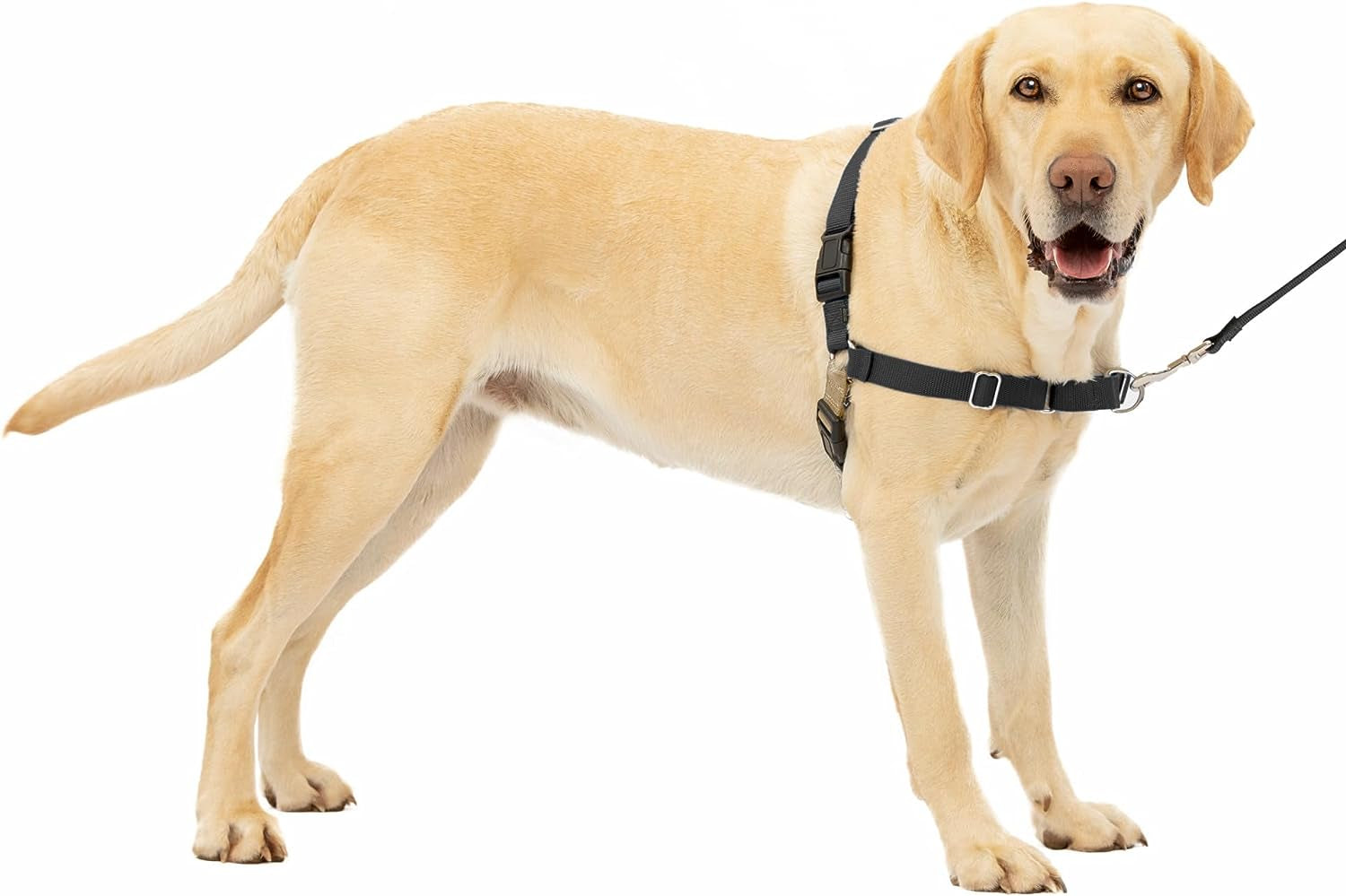 Petsafe Easy Walk No-Pull Dog Harness - the Ultimate Harness to Help Stop Pulling - Take Control & Teach Better Leash Manners - Helps Prevent Pets Pulling on Walks - Medium, Fawn/Brown