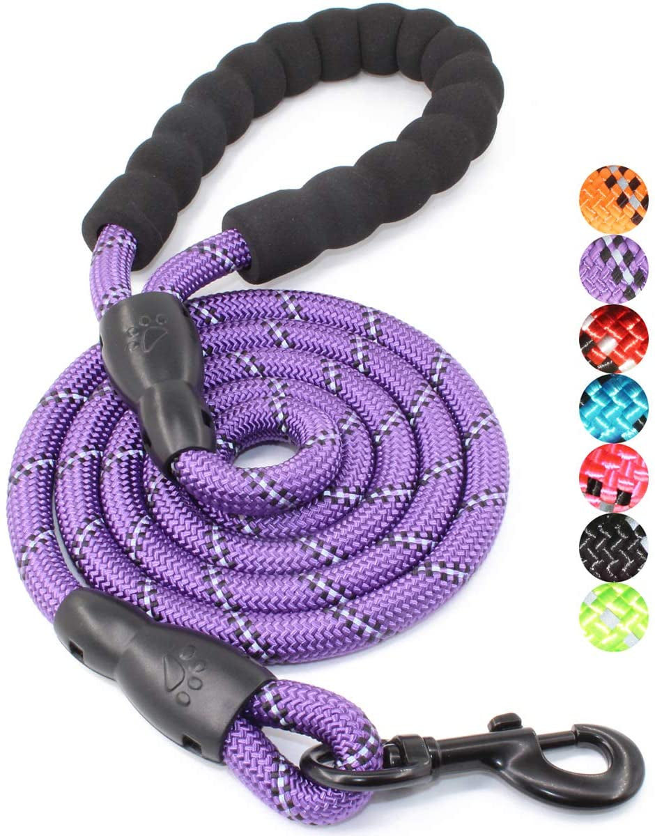 BAAPET 2/4/5/6 FT Dog Leash with Comfortable Padded Handle and Highly Reflective Threads for Small Medium and Large Dogs (5FT-1/2'', Purple)