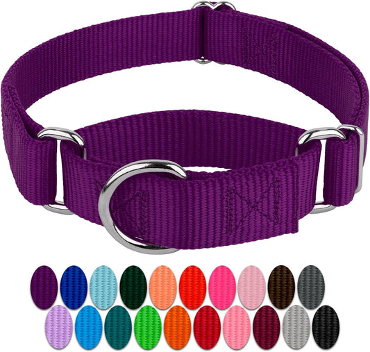 Country Brook Design - Purple Martingale Heavy Duty Nylon Dog Collar - 21 Vibrant Color Options (3/4 Inch Width, Small)