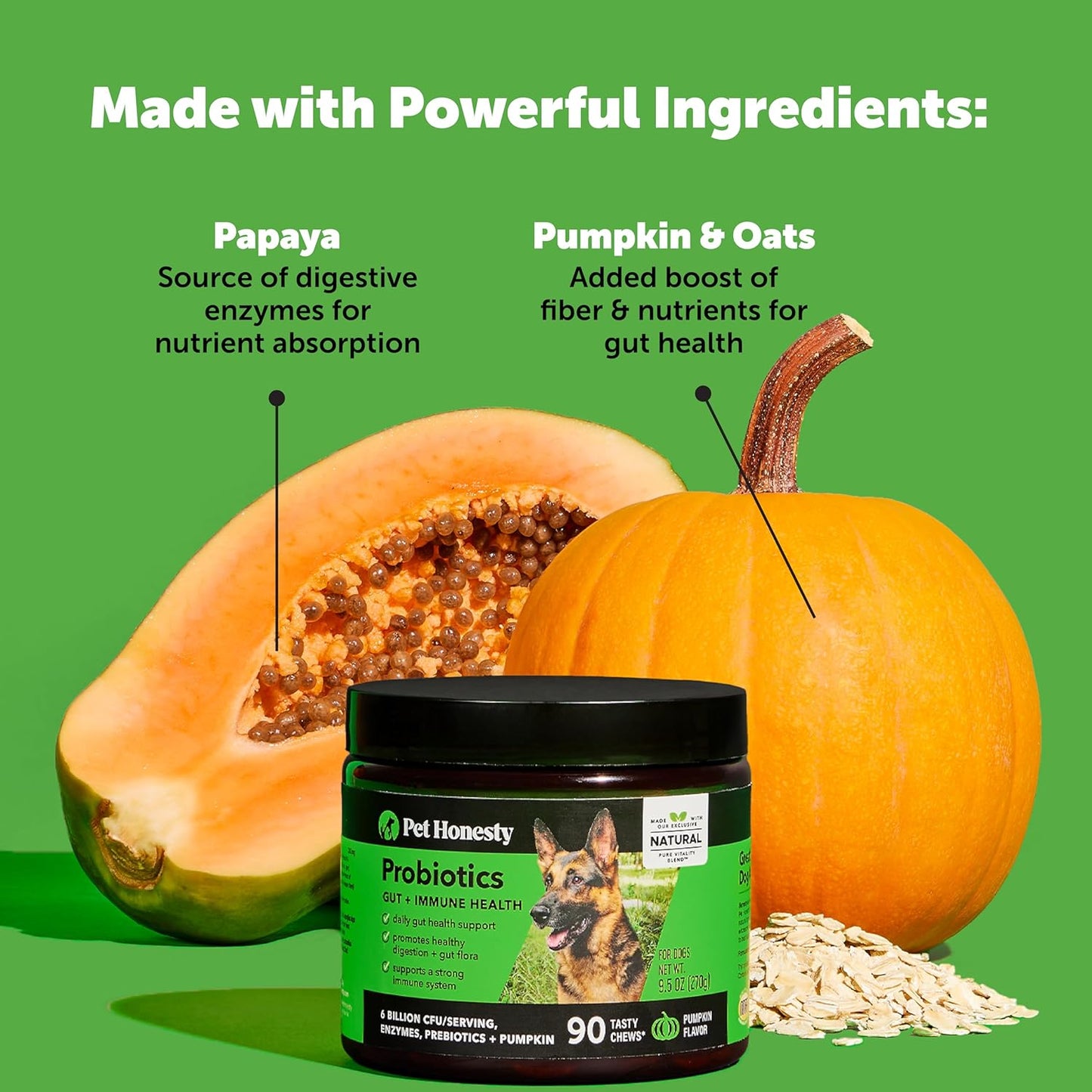 Pet Honesty Pumpkin Fiber Powder Supplement for Dogs - All Natural anti Diarrhea Dog Probiotic with Psyllium Husk, Pumpkin Seeds and Apple Pectin for Firmer Stool & Healthy Digestion (90 Scoops)