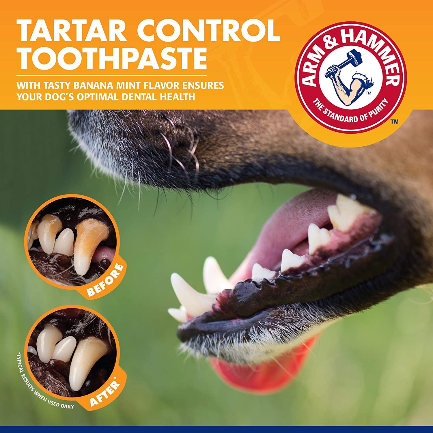 Arm & Hammer for Pets Tartar Control Dental Training Kit for Puppies | Dog Toothbrush, Toothpaste, & Fingerbrush, Total Kit for Ideal Puppy Dental Health | Yummy Vanilla Ginger Flavor