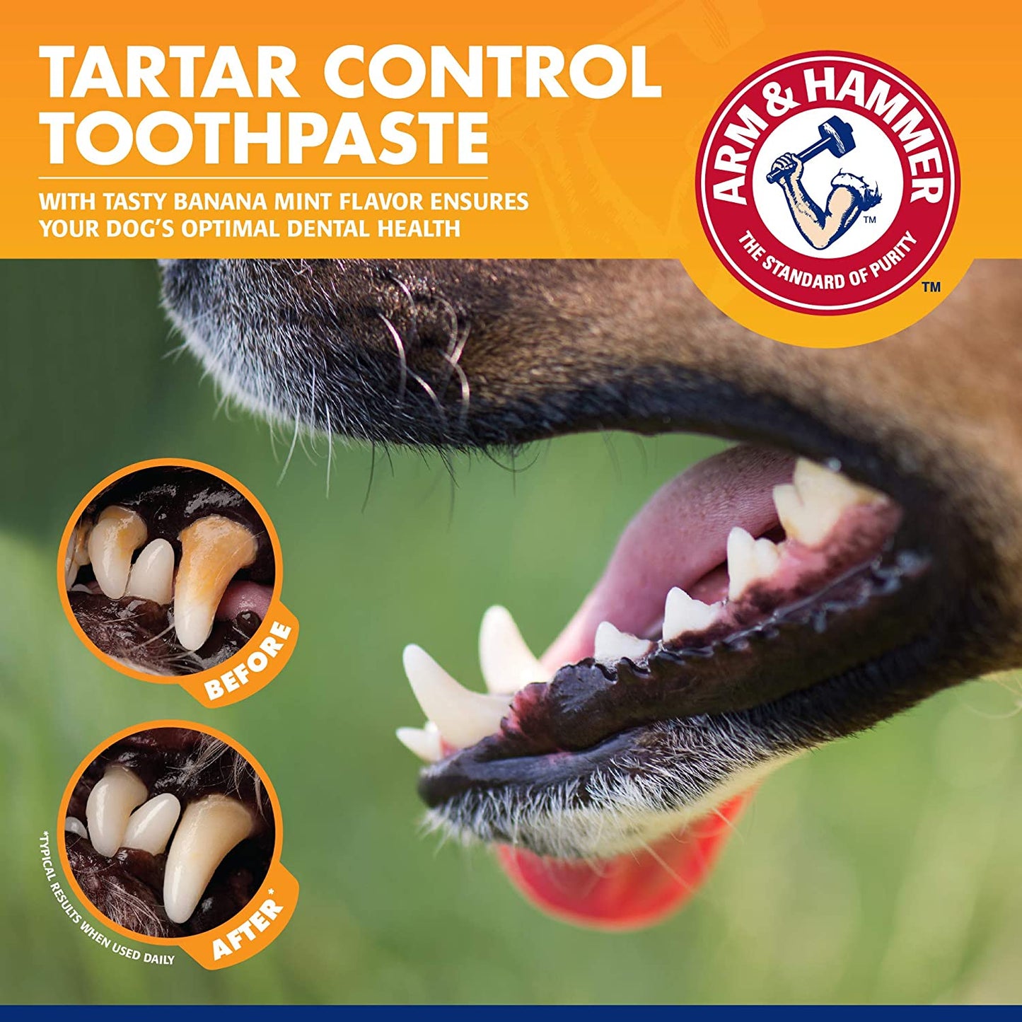 Arm & Hammer for Pets Tartar Control Kit for Dogs 3-Piece Kit Contains Toothpaste, Toothbrush & Fingerbrush Reduces Plaque & Tartar Buildup, Banana Mint Flavor - (Pack of 48)