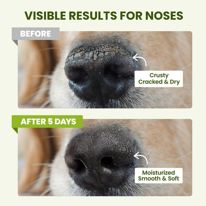PawSono Lick-Safe Dog Paw & Nose Balm with Coconut Oil | Winter Snow, Road Salt & Cold Pavement Protector | All-Natural Moisturizer & Soother for Dry, Cracked Pads & Snout | Horse Hoof, Joint Care