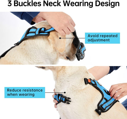 IVY&LANE No Pull Dog Harness for Medium Dogs, Dog Vest Harness with Leash, Safety Belt and Storage Strap, Fully Adjustable Harness, 360° Reflective Strip, Soft Handle (Blue, M)