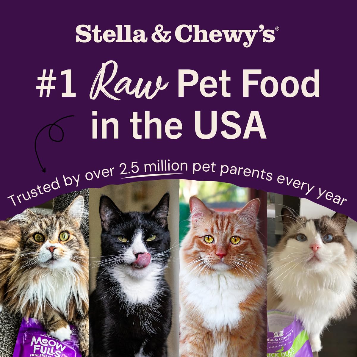 Stella & Chewy's Freeze-Dried Raw Cat Dinner Morsels - Premium Rabbit Recipe with 98% Responsibly-Sourced Meat & Organs - Natural Grain-Free Cat & Kitten Food - Made in USA - 3.5 oz