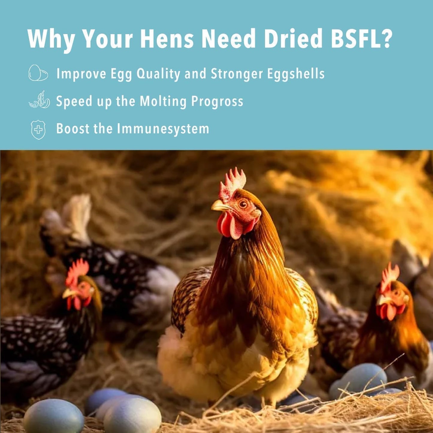 WormsFarm 5LB Dried Black Soldier Fly Larvae Treat for Chicken More Calcium Than Mealworms,for Laying Hen,Wild Birds (5 Pound)