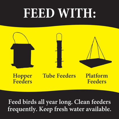 Wild Delight Advanced Formula Bugs N Berries Wild Bird Food 4.5 lbs