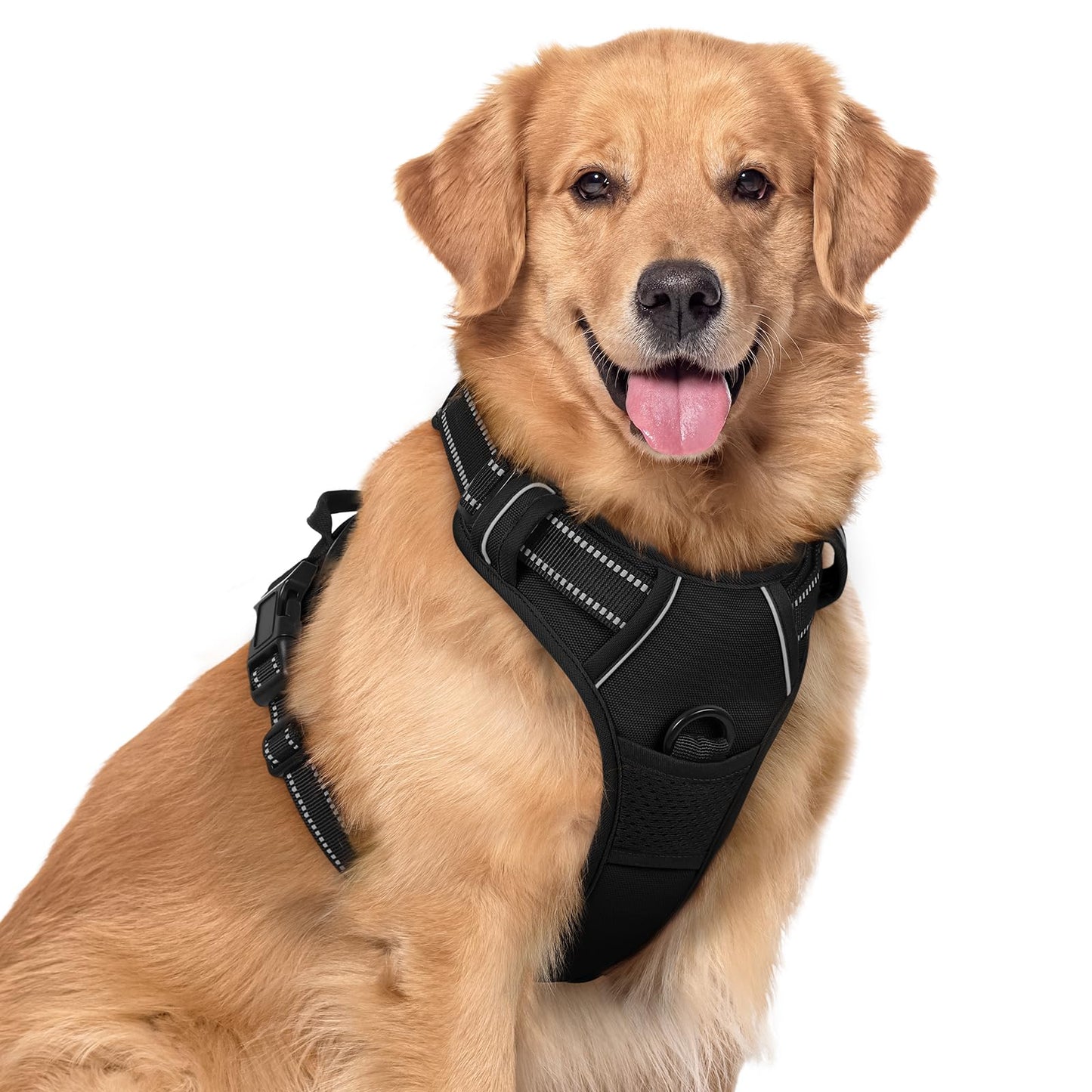 rabbitgoo Dog Harness No Pull with 2 Leash Clips, Adjustable Soft Padded, Reflective Oxford No Choke Pet Vest with Easy Control Handle for Large Dogs, Black, XL