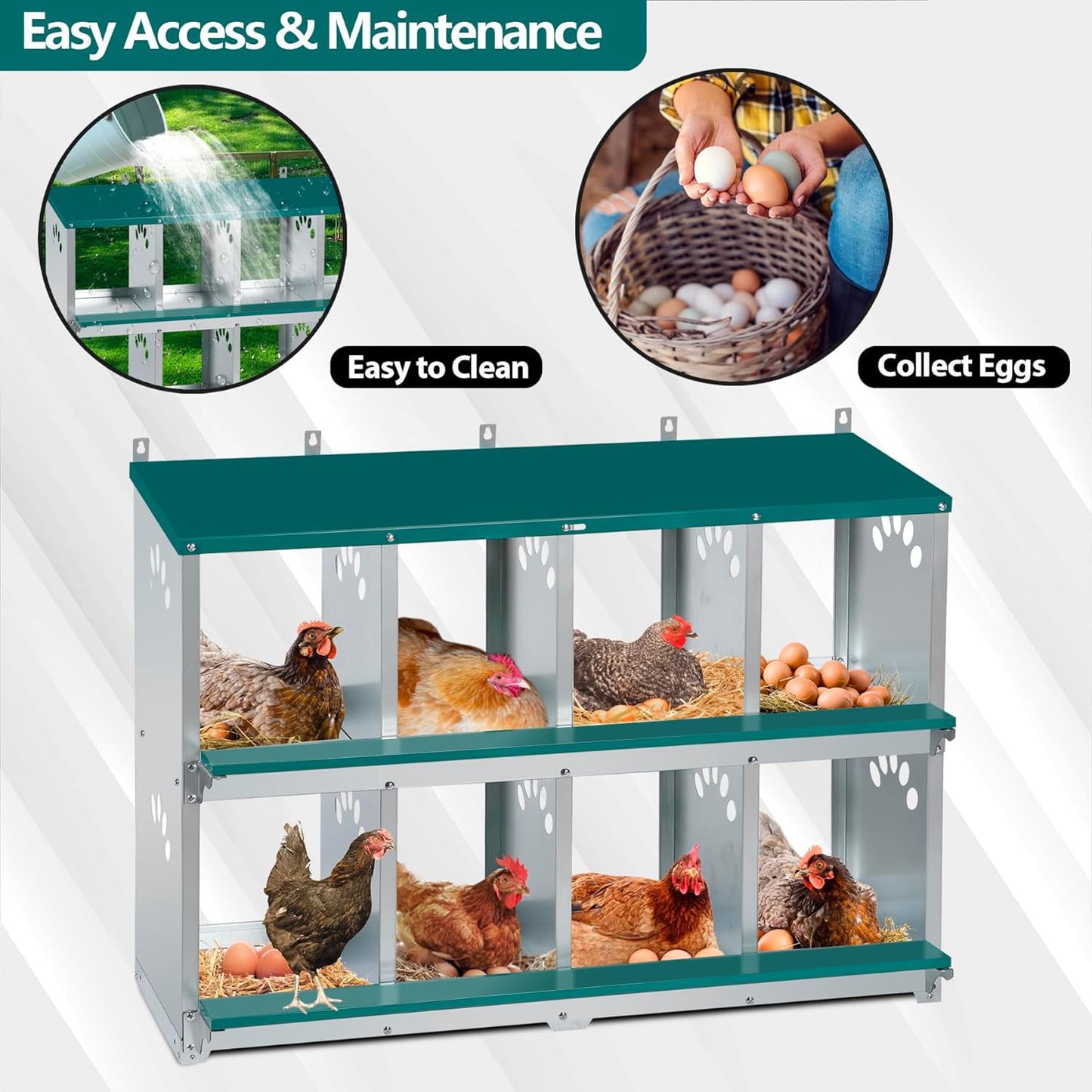 Toriexon Chicken Nesting Box, 8 Compartment Metal Nesting Box, Wall Mountable Nesting Boxes for Chicken, 42.5" L x 13.0" W x 25.0" H, Green