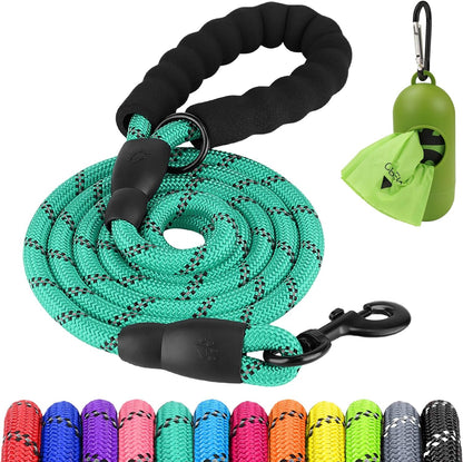 Joytale 6/5/4 FT Leashes for Small Medium Breed Dogs, Heavy Duty Nylon Braided Rope Dog Leash, Comfortable Padded Handle Strong Leashes with Poop Bags and Dispenser, Teal, 5'×3/8''