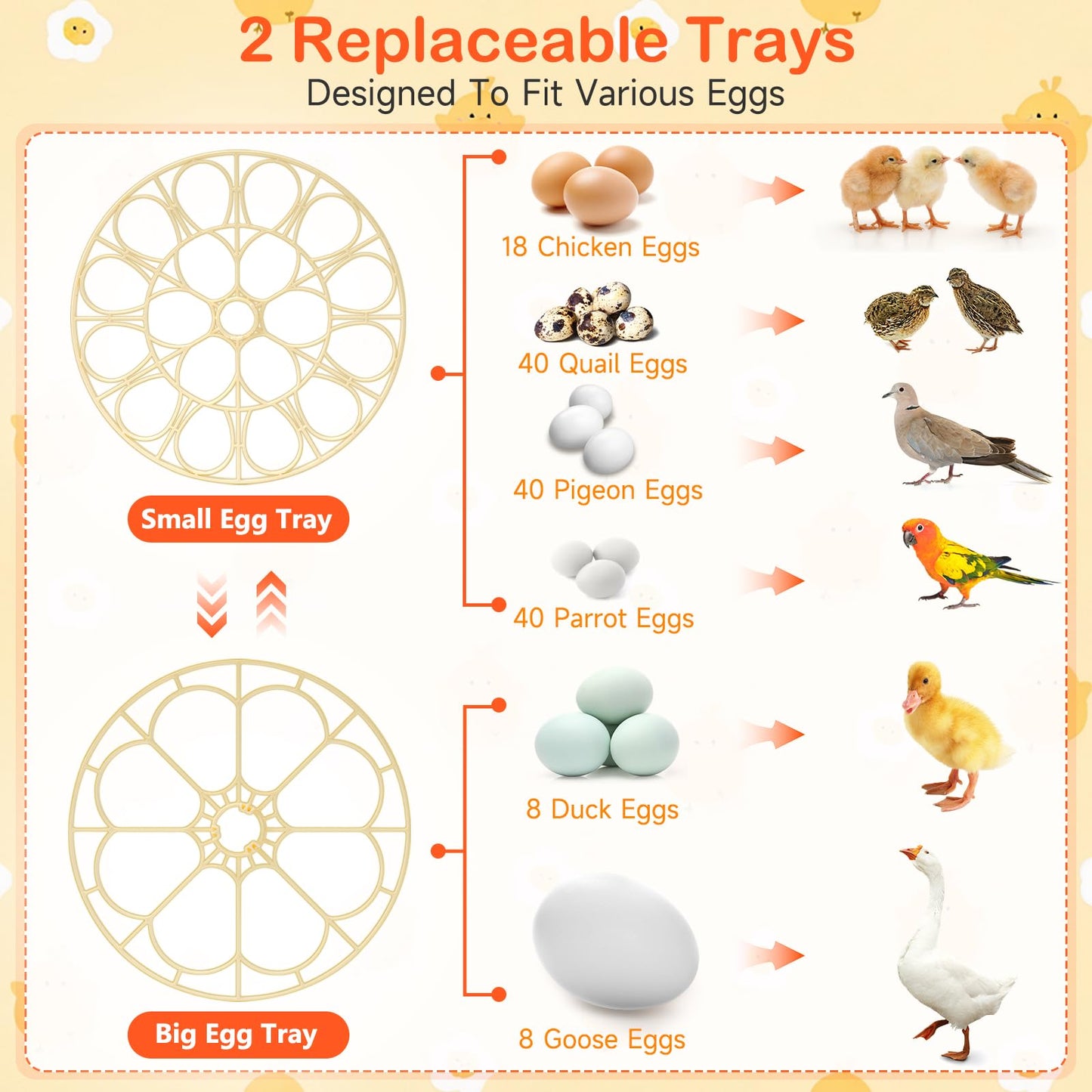 Onsju 18 Egg Incubators for Hatching Eggs, Automatic Egg Turning and Humidity Control Incubator for Hatch Chicken Duck Quail Pigeon Pheasant Partridge Home Classroom Lab-
