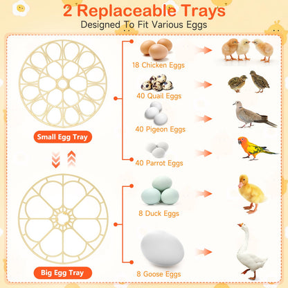 Onsju 18 Egg Incubators for Hatching Eggs, Automatic Egg Turning and Humidity Control Incubator for Hatch Chicken Duck Quail Pigeon Pheasant Partridge Home Classroom Lab-