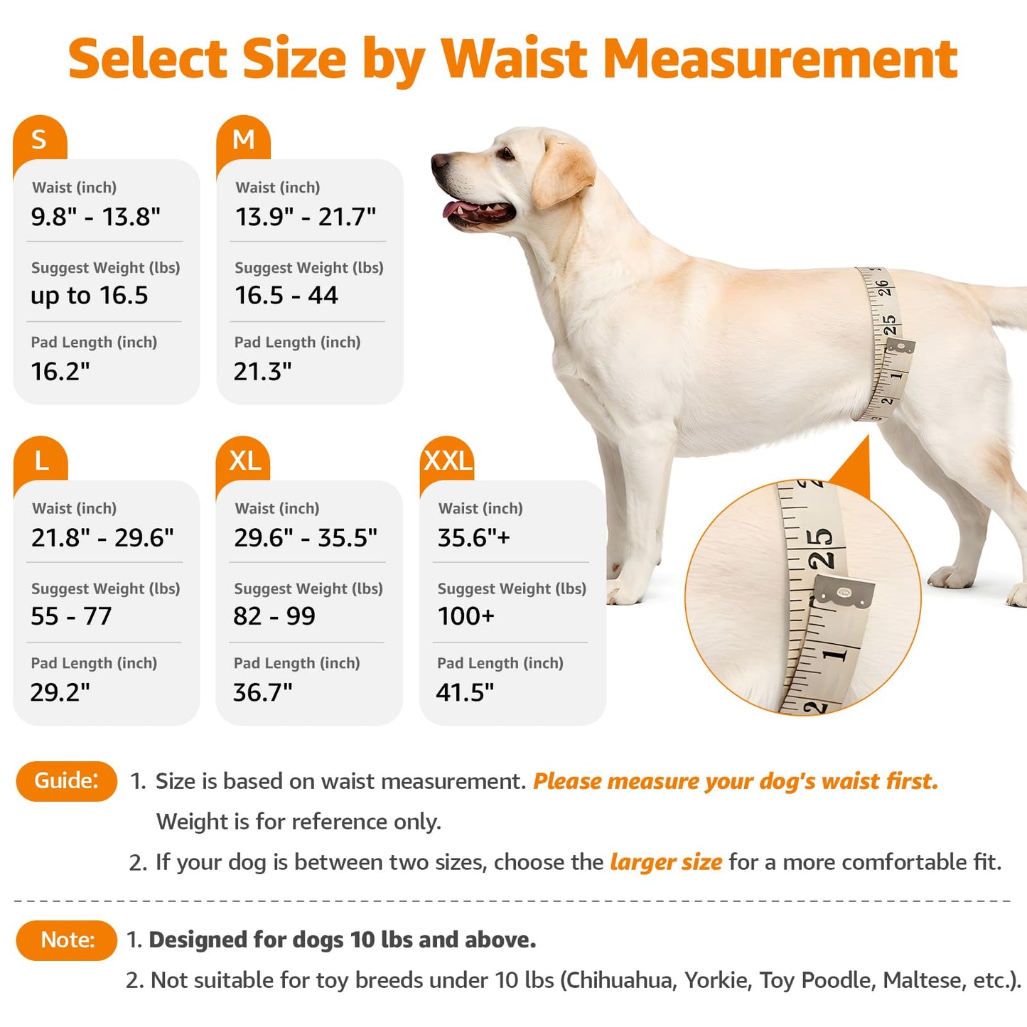 LOOBANI Portable Dog Sling for Back Legs, Hip Support Harness to Help Lift Dogs Rear for Canine Aid and Old K9 Cruciate Ligament Rehabilitation