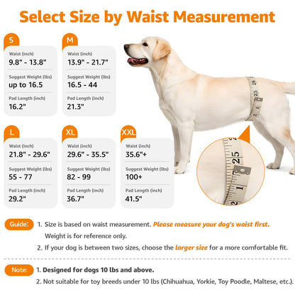 LOOBANI Portable Dog Sling for Back Legs, Hip Support Harness to Help Lift Dogs Rear for Canine Aid and Old K9 Cruciate Ligament Rehabilitation