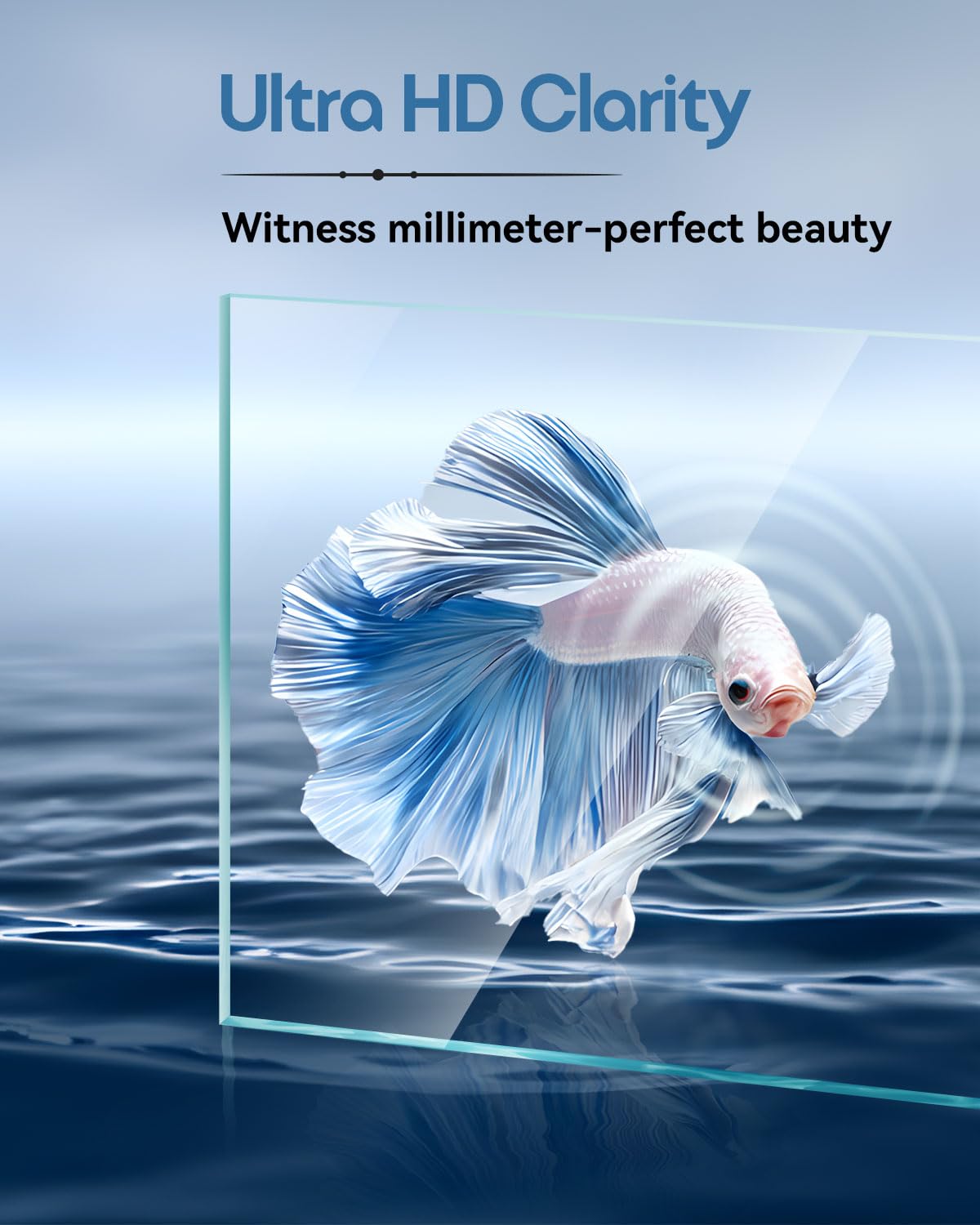 Glass Fish Tank Kit, 2.5 Gallon Betta Fish Tank Aquarium Starter Kit with Filter, Lights, Lid, for Betta, Goldfish, Small Fish or shrimg