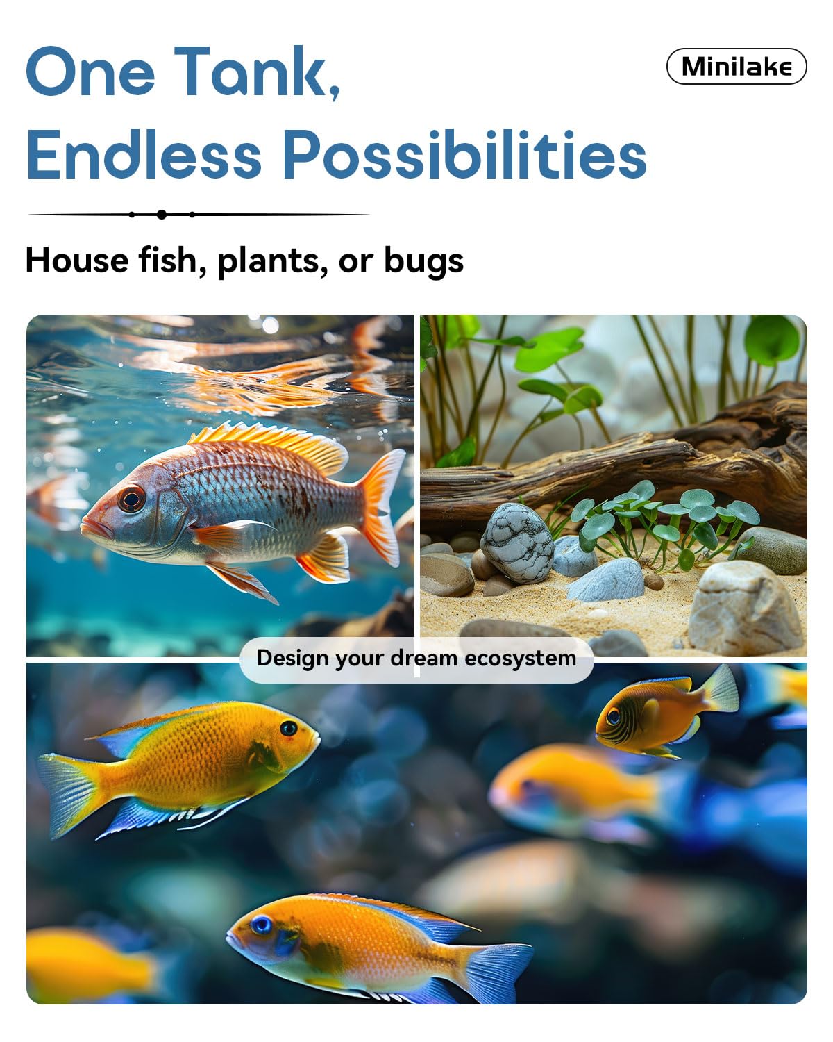 Glass Fish Tank Kit, 2.5 Gallon Betta Fish Tank Aquarium Starter Kit with Filter, Lights, Lid, for Betta, Goldfish, Small Fish or shrimg