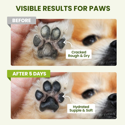 PawSono Lick-Safe Dog Paw & Nose Balm with Coconut Oil | Winter Snow, Road Salt & Cold Pavement Protector | All-Natural Moisturizer & Soother for Dry, Cracked Pads & Snout | Horse Hoof, Joint Care