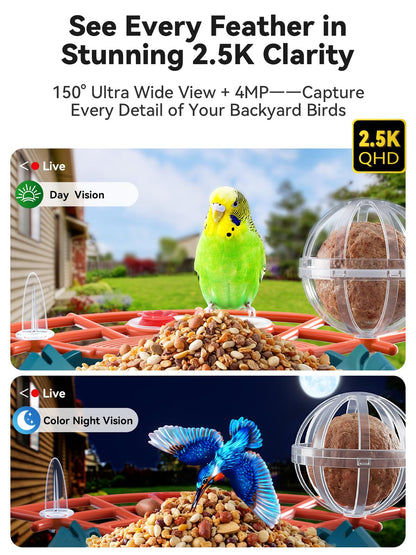 Smart Bird Feeder with Camera Solar Powered - 2.5K 4MP Birds Feeder Camera for Outdoors Garden with AI Identify, Squirrel Proof, Rechargeable Battery WiFi Video Bird Feeder Cam, Gift for Birds Lover