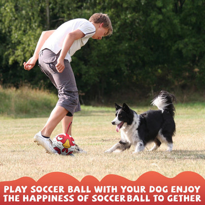 QDAN Dog Balls Toys, Dog Soccer Ball Toy Soccer Balls with with Straps, Dog Gifts Toys, Pet Puppy Birthday Valentines Gifts for Small Medium Dogs, 6 Inch, Chicken Ball