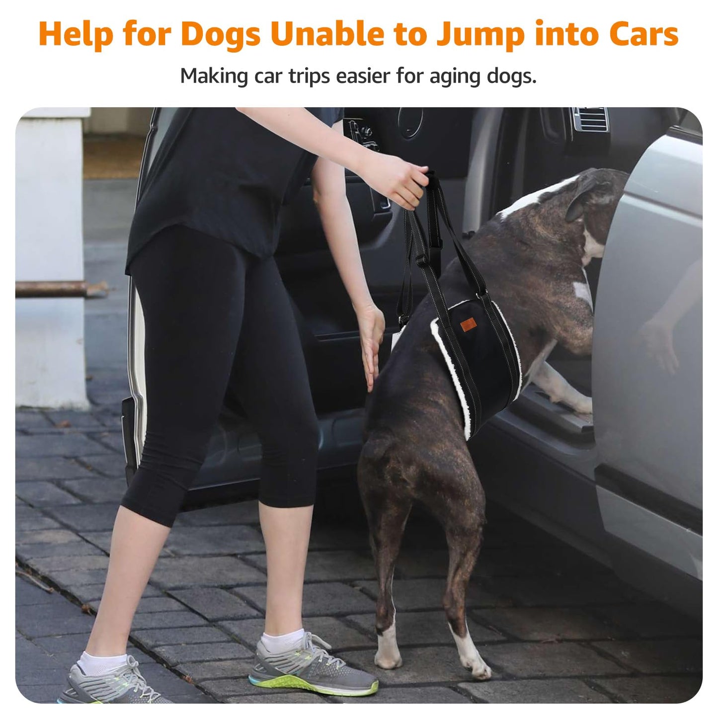 LOOBANI Portable Dog Sling for Back Legs, Hip Support Harness to Help Lift Dogs Rear for Canine Aid and Old K9 Cruciate Ligament Rehabilitation