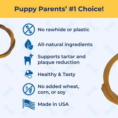 N-Bone Puppy Teething Rings, Grain-Free Chicken Flavor, 6 ct