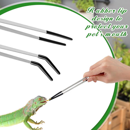 Lasnten 2 Pcs Extra Long Stainless Steel Reptile Feeding Tongs with Rubber Tip Bearded Dragon Aquarium Straight and Curved Long Tweezer Terrarium Feeder Tool for Tank(Silver, 10 Inch, 10.5 Inch)