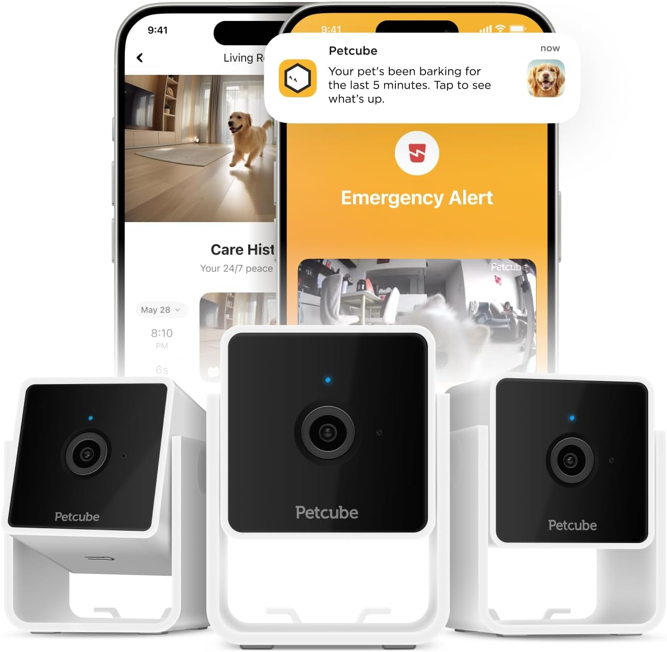 Petcube Cam The Pack of 3 | Indoor Wi-Fi Pet Security Camera with Phone App, 2-Way Audio and Video, Night Vision, 1080p HD Video and Smart Alerts